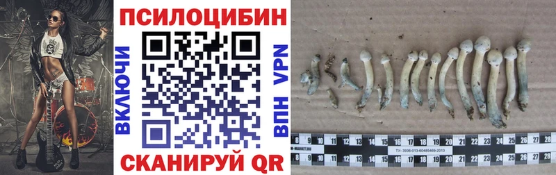 наркошоп  Ирбит  Галлюциногенные грибы прущие грибы 